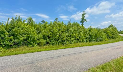 Photo #4 of 5 Wills Road, Blackstone, VA 5.6 acres