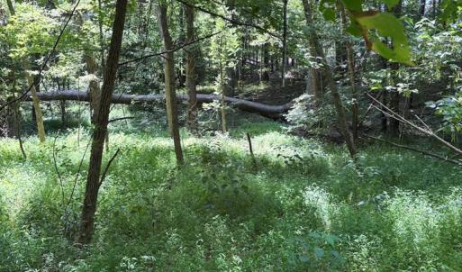 Photo #10 of West Entrance Rd, Blackstone, VA 5.6 acres