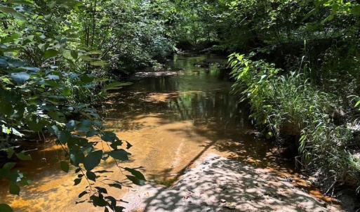 Photo #12 of West Entrance Rd, Blackstone, VA 5.6 acres