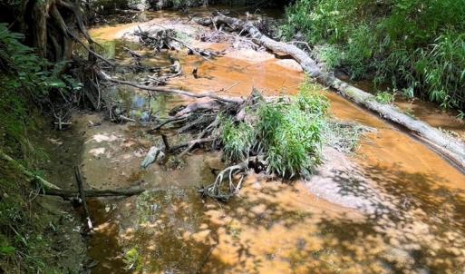 Photo #13 of West Entrance Rd, Blackstone, VA 5.6 acres