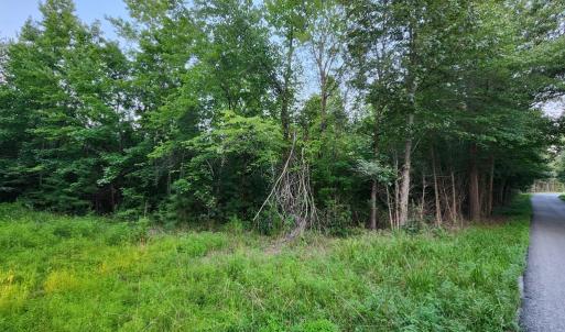 Photo #5 of 650 Schutt Rd, Burkeville, VA 9.5 acres