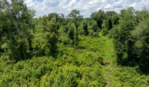 Photo #9 of Nottoway Ave, Blackstone, VA 37.5 acres