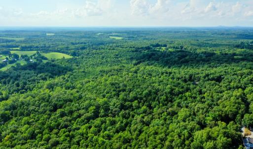 Photo #3 of Farmville Road, Farmville, VA 74.4 acres