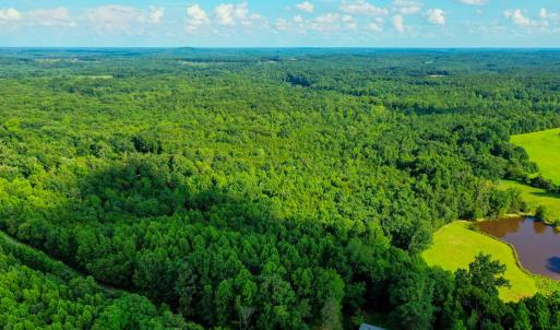 Photo #5 of Farmville Road, Farmville, VA 74.4 acres