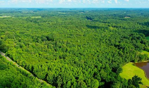 Photo #6 of Farmville Road, Farmville, VA 74.4 acres