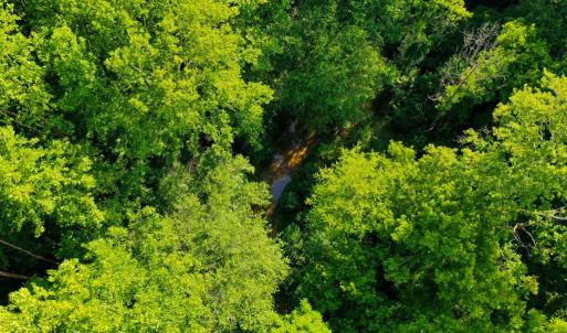 Photo #7 of Farmville Road, Farmville, VA 74.4 acres