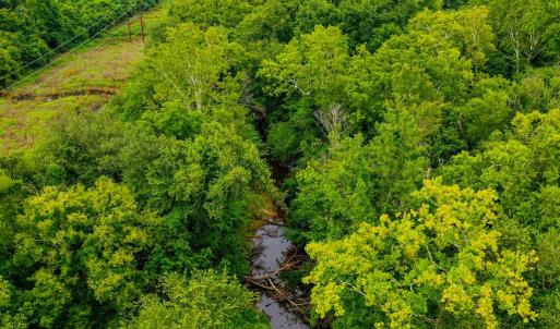 Photo #11 of Fox Hill Road, Rice, VA 21.7 acres