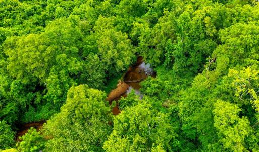 Photo #12 of Fox Hill Road, Rice, VA 21.7 acres