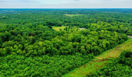 Photo #6 of Fox Hill Road, Rice, VA 21.7 acres
