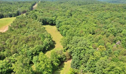 Photo #15 of Story Rd, Concord, VA 80.0 acres