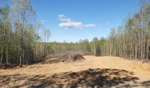 Photo #2 of Mountain Creek Road, Green Bay, VA 21.5 acres