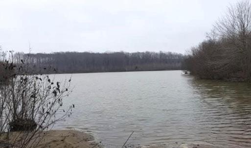 Photo #6 of Mountain Creek Road, Green Bay, VA 21.5 acres