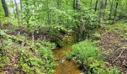 Photo #13 of Banton Shop Road, Dillwyn, VA 42.0 acres