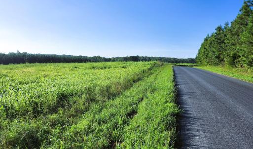 Photo #3 of Banton Shop Road, Dillwyn, VA 42.0 acres
