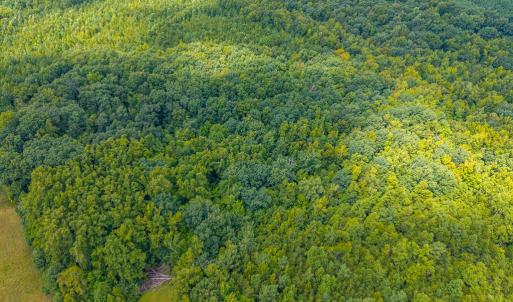 Photo #19 of 0 Atwell Lane, Keysville, VA 39.8 acres