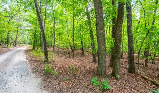 Photo #2 of 0 Atwell Lane, Keysville, VA 39.8 acres