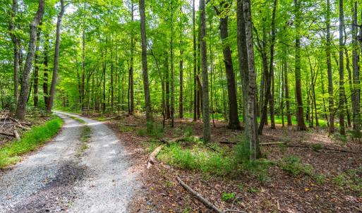 Photo #22 of 0 Atwell Lane, Keysville, VA 39.8 acres