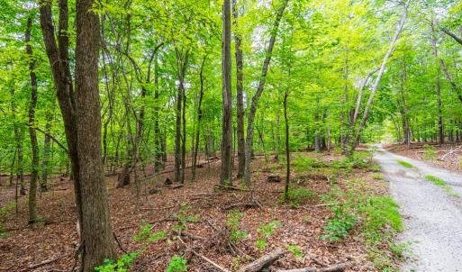 Photo #4 of 0 Atwell Lane, Keysville, VA 39.8 acres