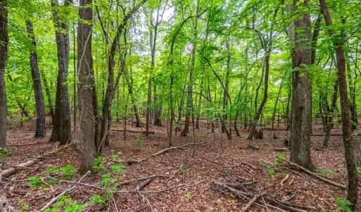 Photo #5 of 0 Atwell Lane, Keysville, VA 39.8 acres