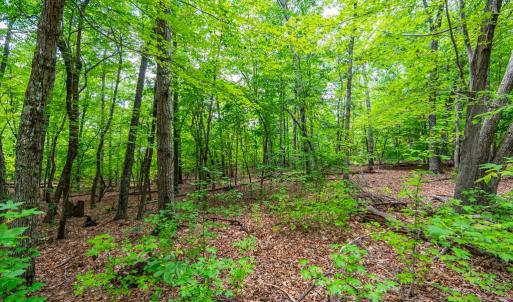 Photo #6 of 0 Atwell Lane, Keysville, VA 39.8 acres