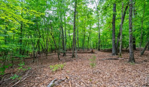 Photo #7 of 0 Atwell Lane, Keysville, VA 39.8 acres