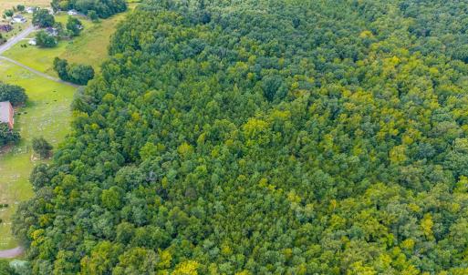 Photo #18 of 0 Atwell Lane, Keysville, VA 39.8 acres