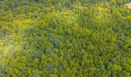 Photo #20 of 0 Atwell Lane, Keysville, VA 39.8 acres