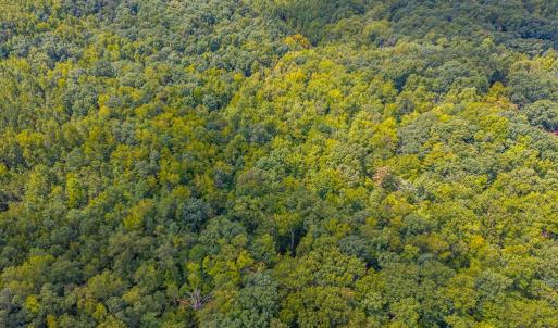 Photo #21 of 0 Atwell Lane, Keysville, VA 39.8 acres