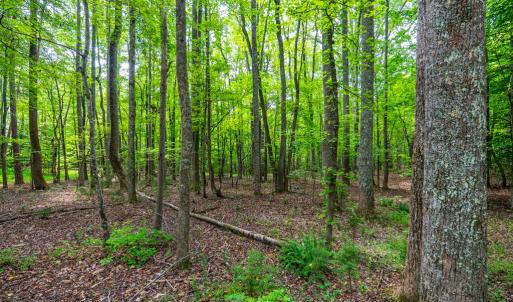 Photo #23 of 0 Atwell Lane, Keysville, VA 39.8 acres