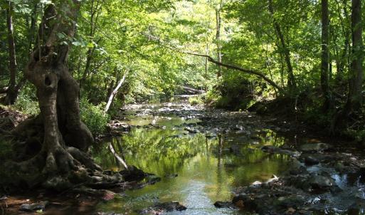 Photo #10 of 754 Firetower Road, Lunenburg, VA 129.7 acres