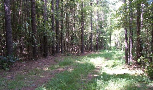 Photo #12 of 754 Firetower Road, Lunenburg, VA 129.7 acres