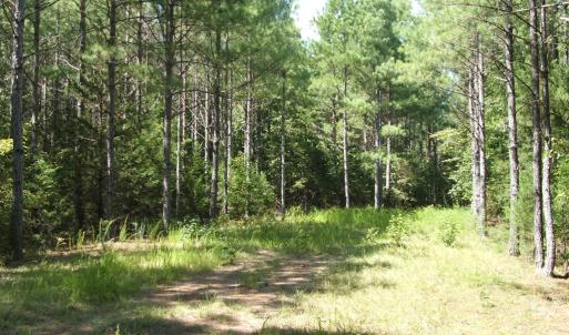 Photo #13 of 754 Firetower Road, Lunenburg, VA 129.7 acres