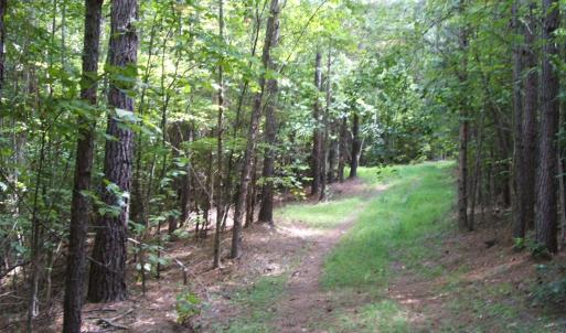 Photo #5 of 754 Firetower Road, Lunenburg, VA 129.7 acres