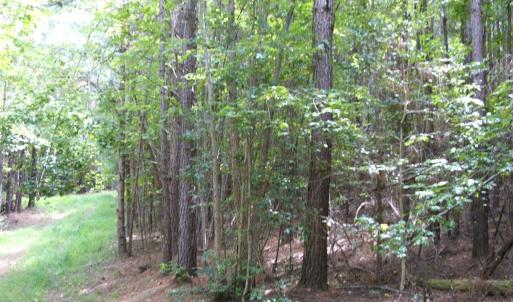Photo #6 of 754 Firetower Road, Lunenburg, VA 129.7 acres