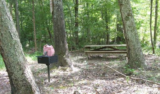 Photo #7 of 754 Firetower Road, Lunenburg, VA 129.7 acres