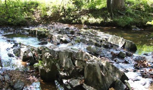 Photo #9 of 754 Firetower Road, Lunenburg, VA 129.7 acres