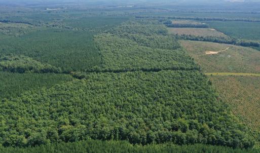 Photo #25 of 60 West James Anderson Hwy, Gladstone, VA 100.0 acres