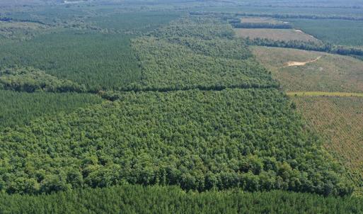 Photo #29 of 60 West James Anderson Hwy, Gladstone, VA 100.0 acres