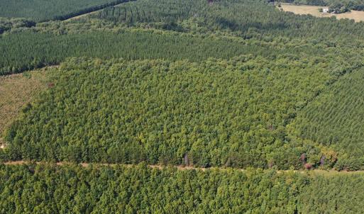 Photo #36 of 60 West James Anderson Hwy, Gladstone, VA 100.0 acres