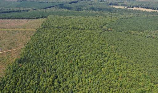 Photo #39 of 60 West James Anderson Hwy, Gladstone, VA 100.0 acres