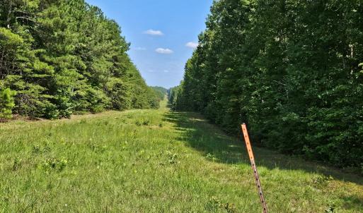 Photo #8 of 60 West James Anderson Hwy, Gladstone, VA 100.0 acres