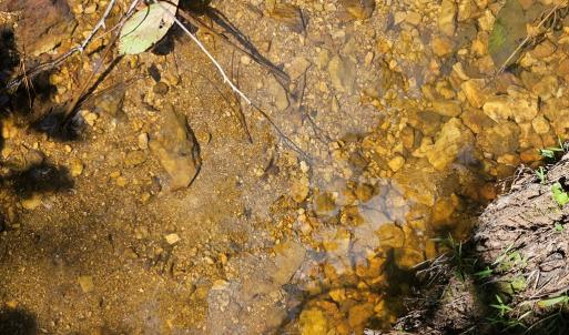 Photo #9 of 60 West James Anderson Hwy, Gladstone, VA 100.0 acres