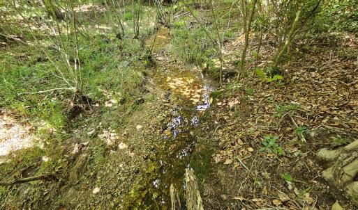 Photo #17 of 60 West James Anderson Hwy, Gladstone, VA 100.0 acres