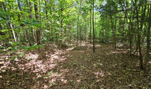 Photo #18 of 60 West James Anderson Hwy, Gladstone, VA 100.0 acres