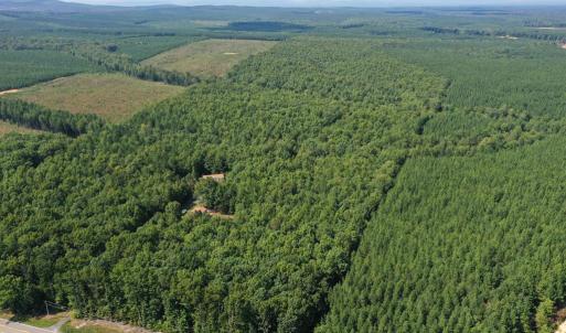 Photo #31 of 60 West James Anderson Hwy, Gladstone, VA 100.0 acres