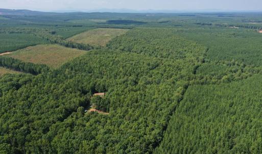 Photo #37 of 60 West James Anderson Hwy, Gladstone, VA 100.0 acres