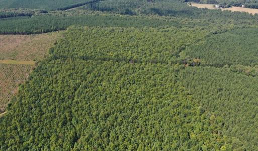 Photo #38 of 60 West James Anderson Hwy, Gladstone, VA 100.0 acres