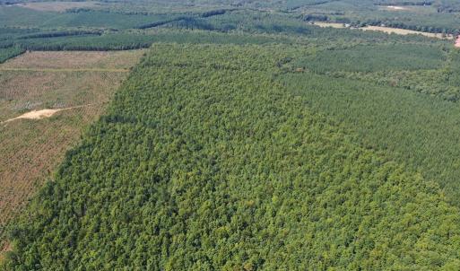 Photo #43 of 60 West James Anderson Hwy, Gladstone, VA 100.0 acres