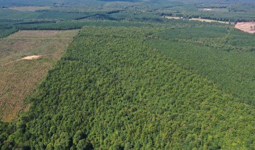 Photo #46 of 60 West James Anderson Hwy, Gladstone, VA 100.0 acres