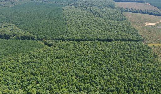 Photo #47 of 60 West James Anderson Hwy, Gladstone, VA 100.0 acres